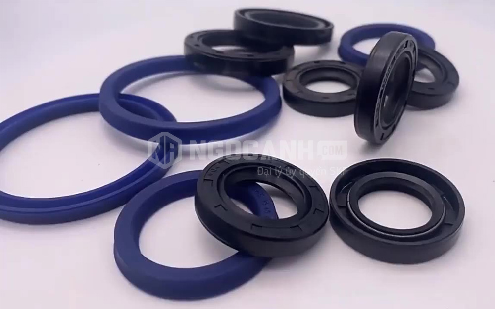 Phớt chắn dầu SKF