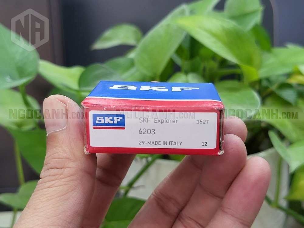vòng bi SKF 6203