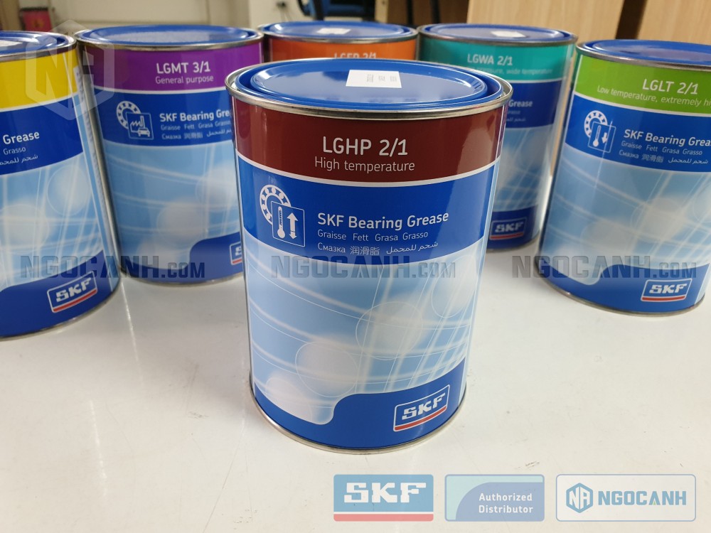 Quy cách đóng hộp SKF LGHP 2