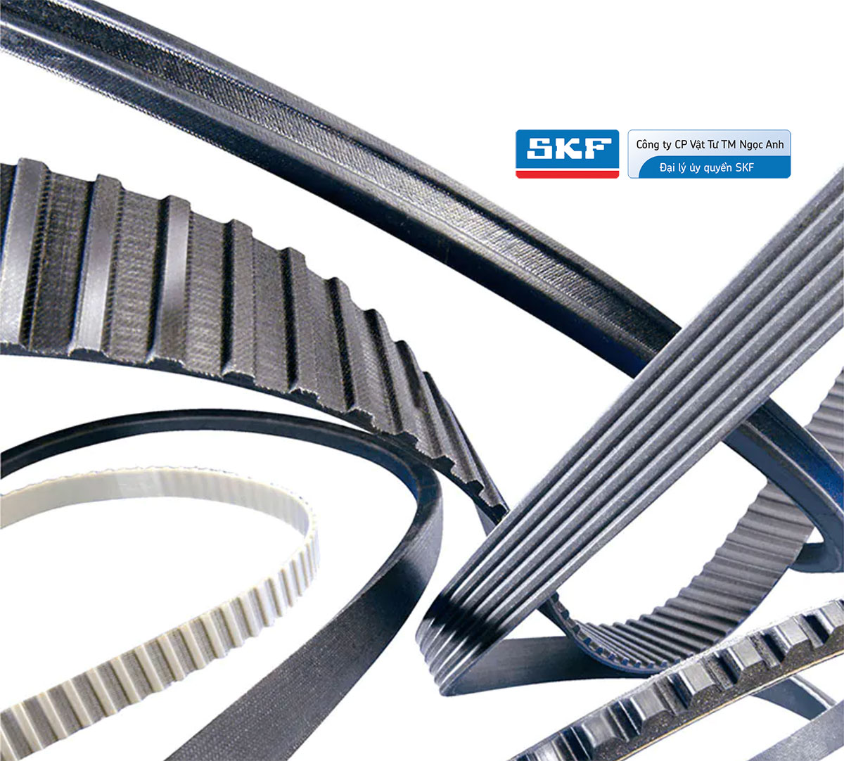 Dây đai SKF (Belts) - Phân phối chính hãng bởi VOBIVI - Đại lý ủy quyền SKF