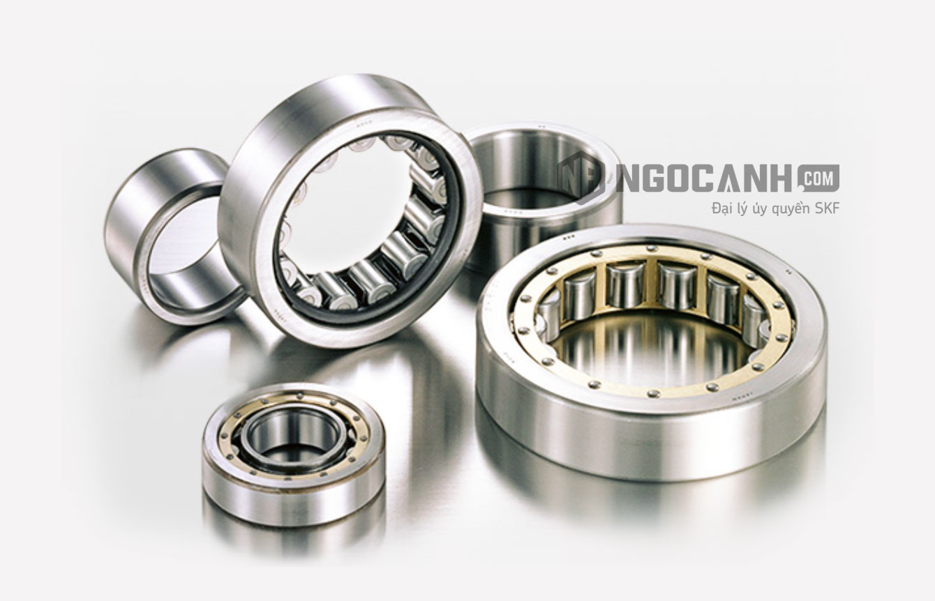 Bảng tra kích thước vòng bi đũa đỡ SKF