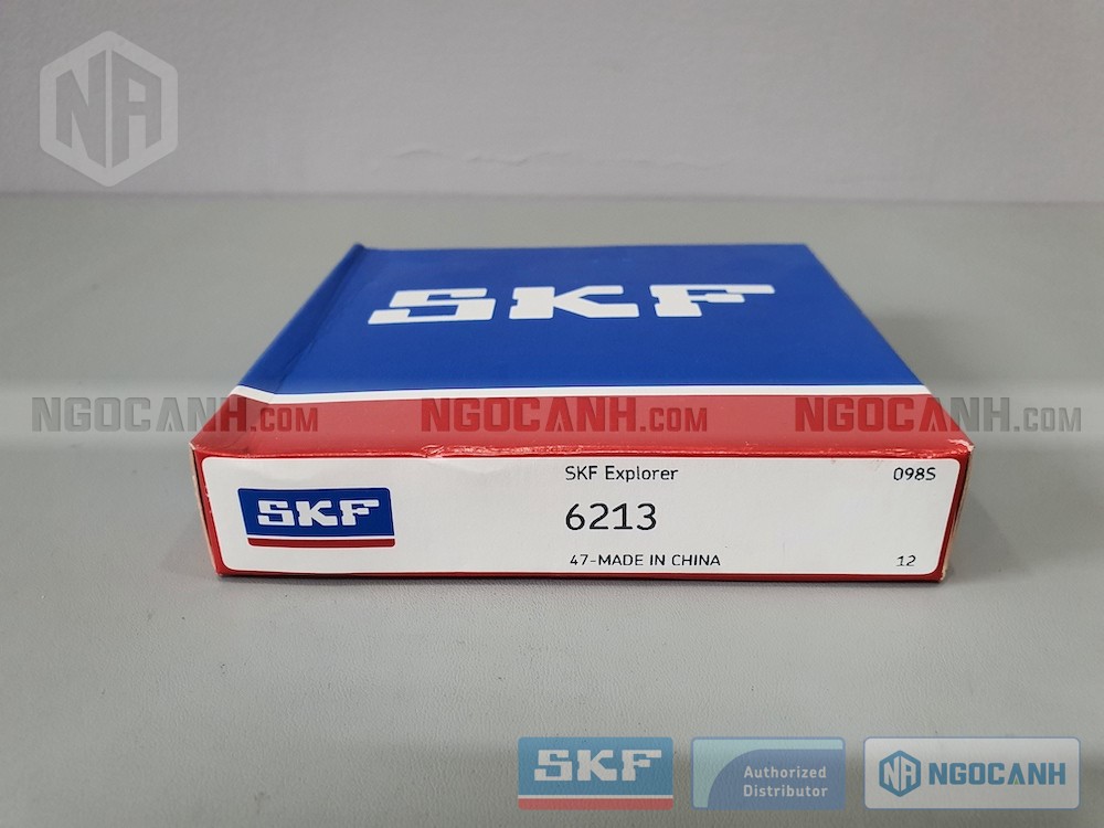 Hình ảnh vòng bi SKF 6213 chính hãng