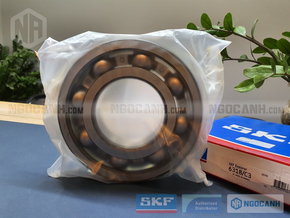 Vòng bi SKF 6318/C3 chính hãng