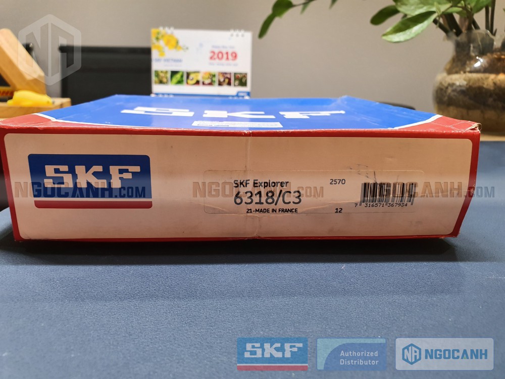 Vòng bi 6318/C3 SKF có xuất xứ tại Pháp (France)