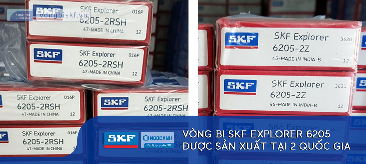 Vòng bi SKF 6205