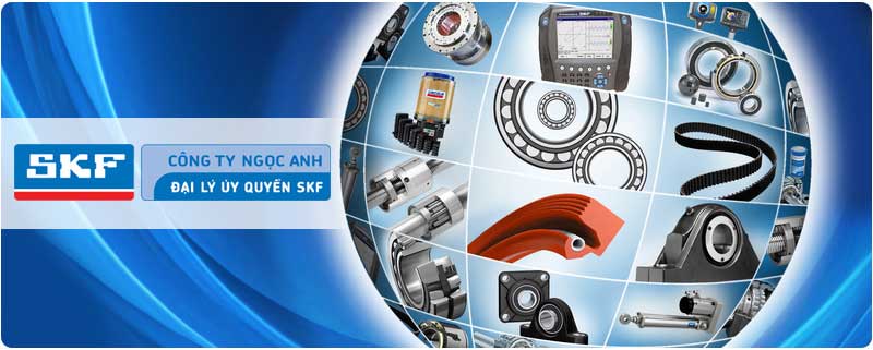 Đại lý ủy quyền vòng bi SKF chính hãng