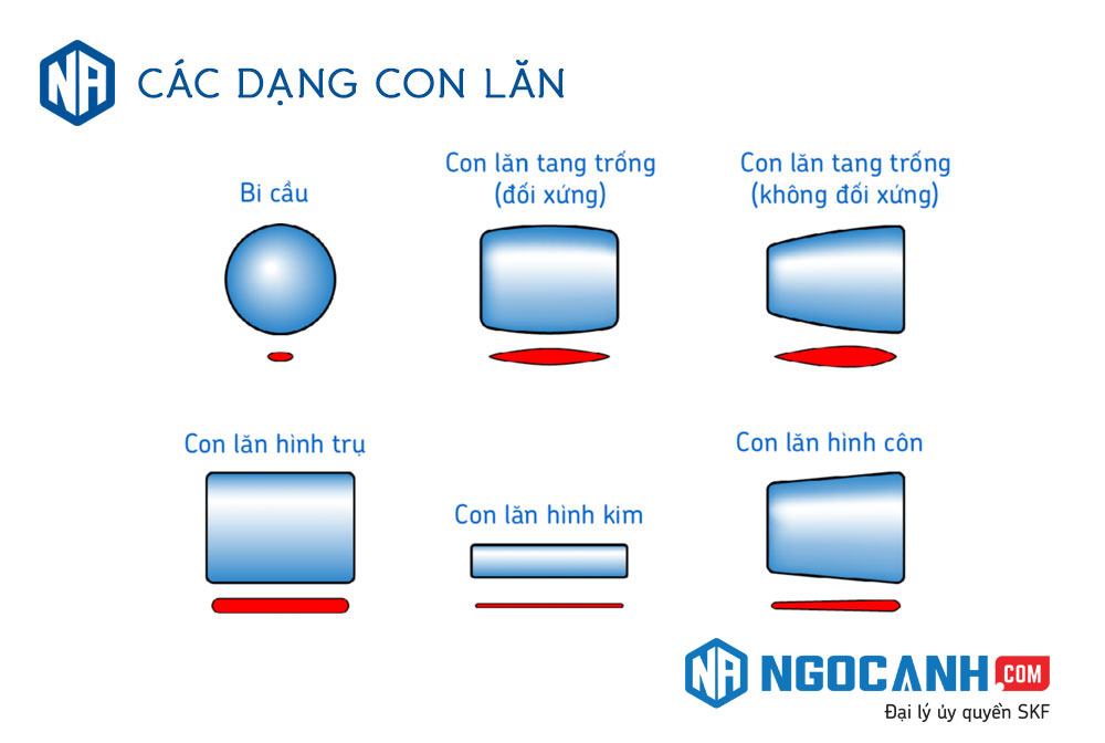 Các loại bạc đạn thông dụng