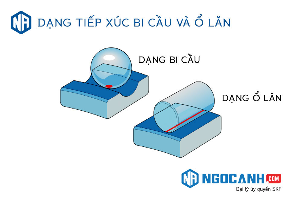 Hạt bi và Ổ Lăn