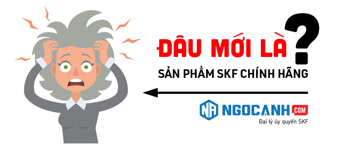Vòng bi SKF của nước nào?