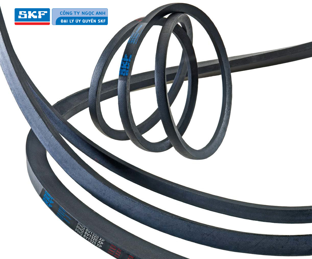 Dây đai SKF chính hãng - Đại lý ủy quyền dây đai SKF