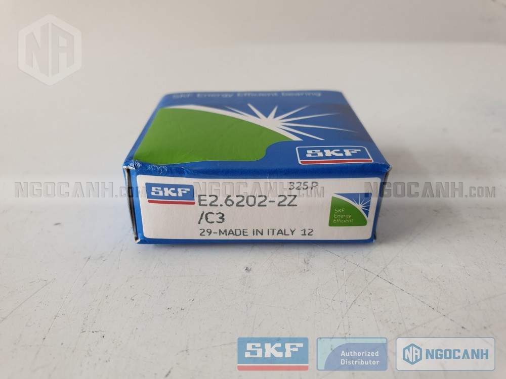 vòng bi SKF E2.6002-2Z/C3