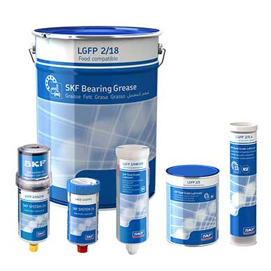 SKF LGFP 2
