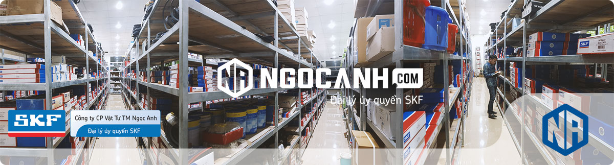 Đại lý vòng bi SKF tại Hà Nội