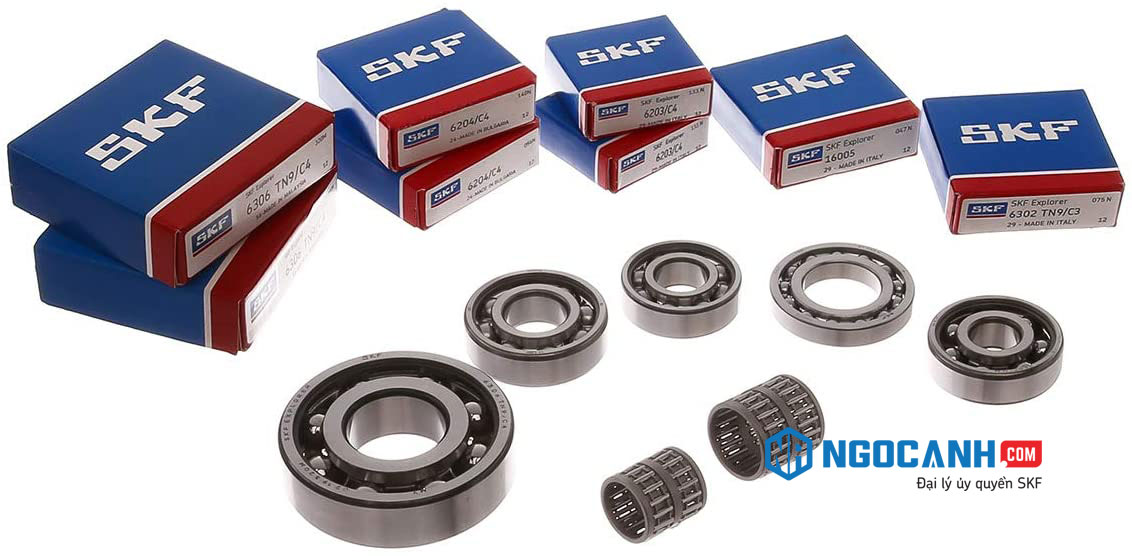 vòng bi bạc đạn SKF
