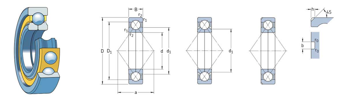 Vòng bi tiếp xúc bốn điểm SKF