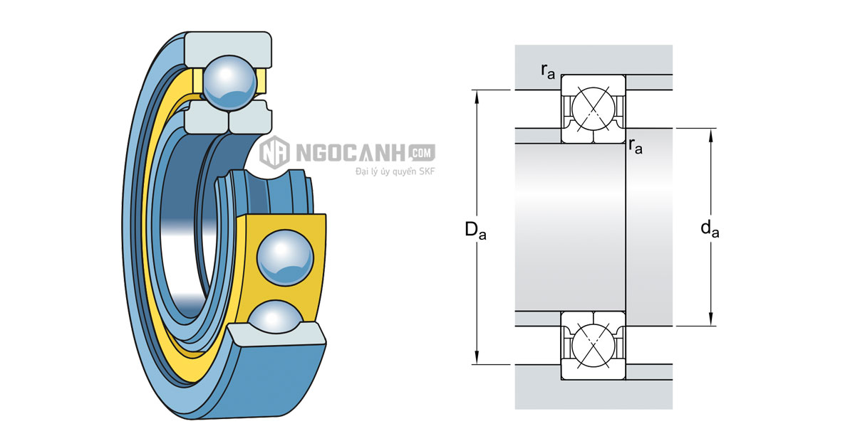 Vòng bi tiếp xúc góc 4 điểm SKF