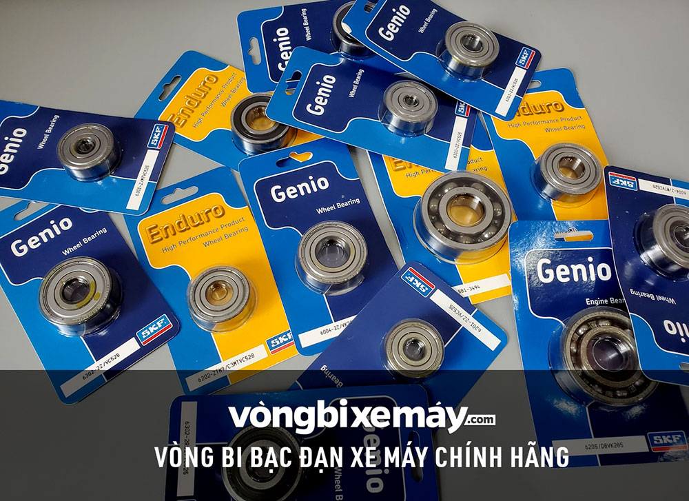 vòng bi bạc đạn xe máy SKF