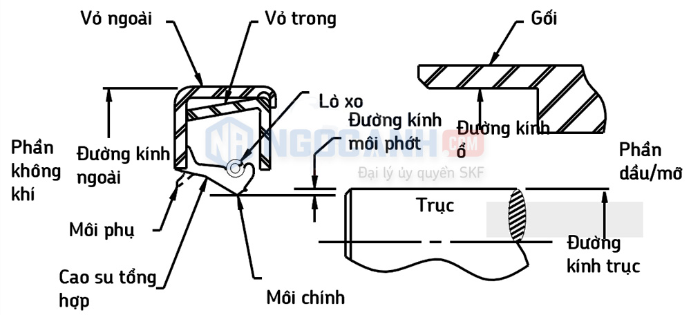 Cấu tạo phớt chắn dầu