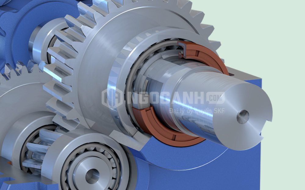 Phớt chắn dầu SKF là gì