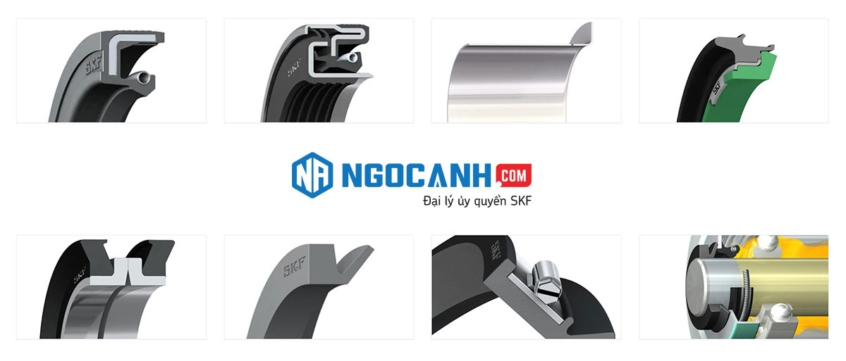 Phớt chắn dầu SKF