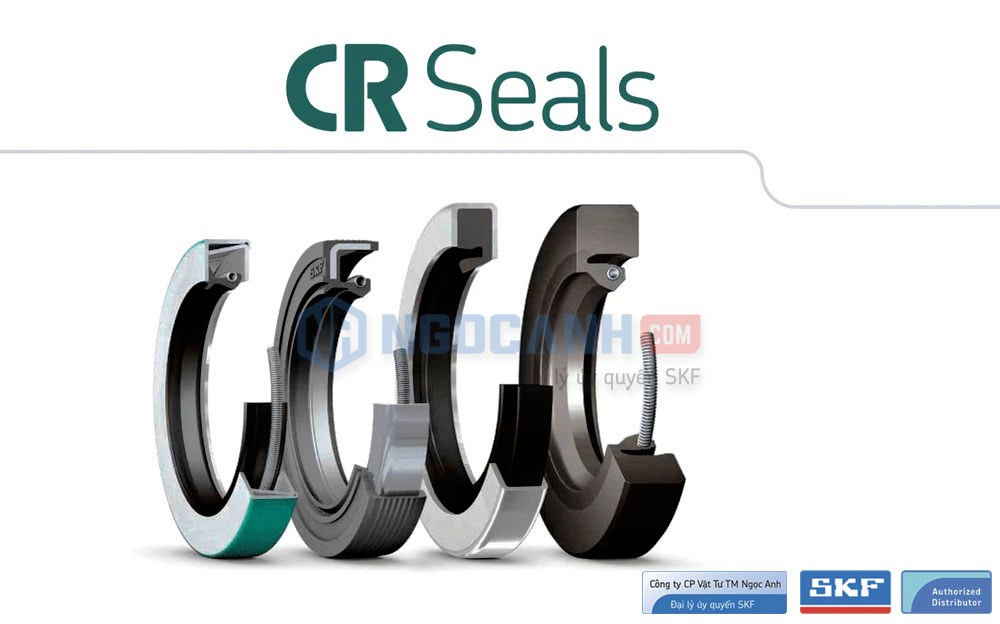 Tổng quan về phớt chắn dầu SKF