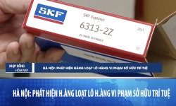 Hà Nội - Phát hiện hàng loạt lô vòng bi SKF vi phạm sở hữu trí tuệ (Fake)
