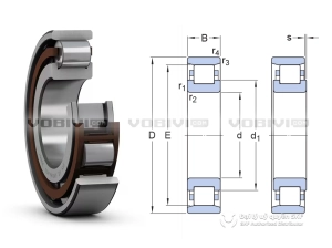 Vòng bi SKF N 319 ECP chính hãng Vòng bi SKF N 319 ECP