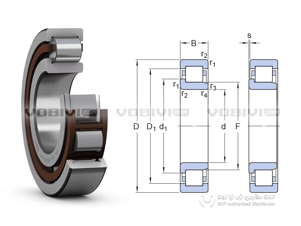 Vòng bi NJ 2211 ECP/C3 chính hãng SKF