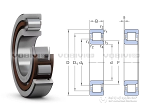 Vòng bi SKF NJ 215 ECP chính hãng Vòng bi SKF NJ 215 ECP
