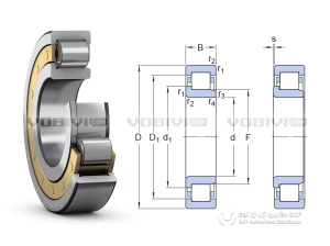 Vòng bi SKF NJ 311 ECM chính hãng Vòng bi SKF NJ 311 ECM