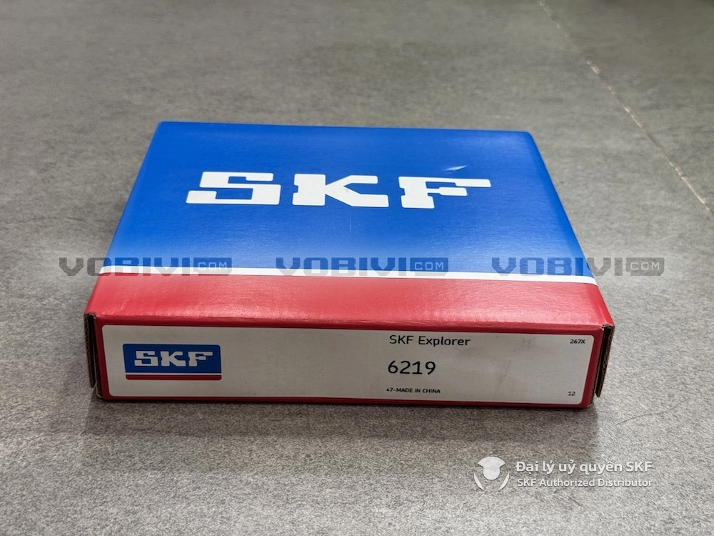 Vòng bi SKF 6219 chính hãng