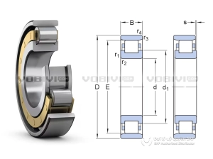 Vòng bi SKF N 312 ECM