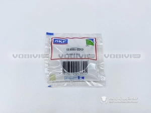 Vòng bi SKF E2.6001-2Z/C3