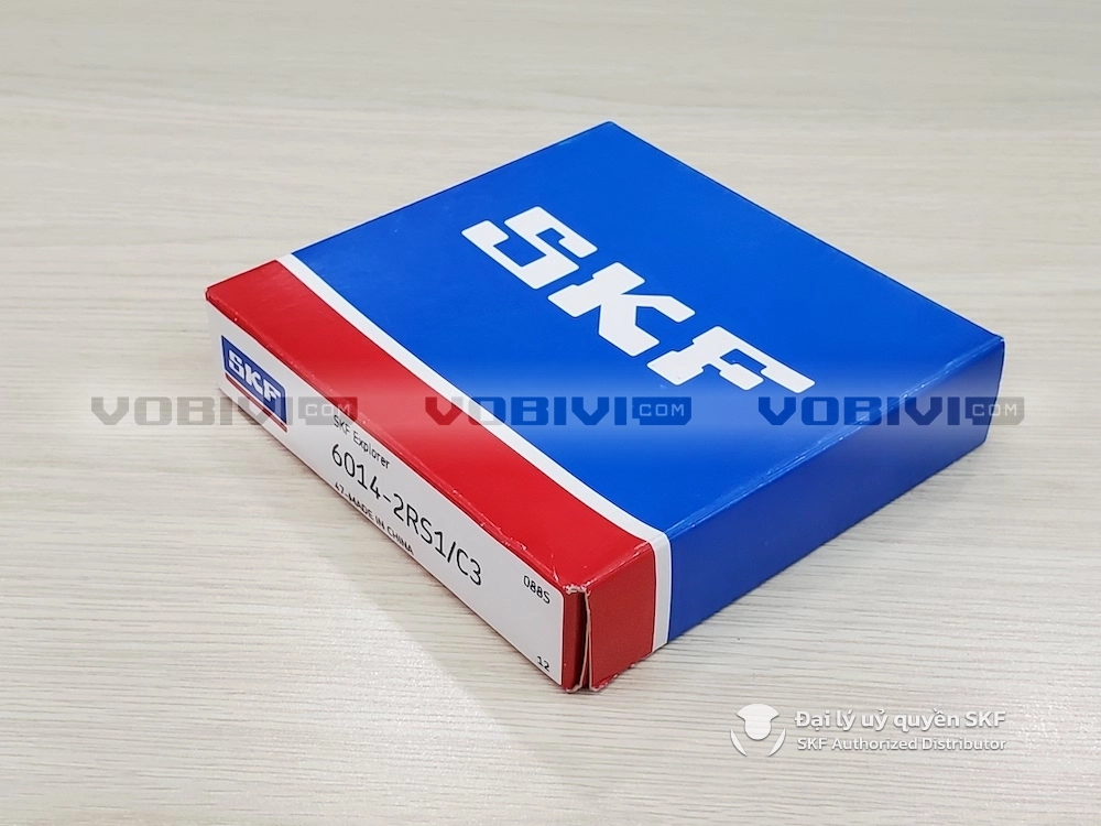6014-2RS1/C3