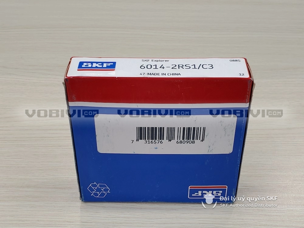 6014-2RS1/C3