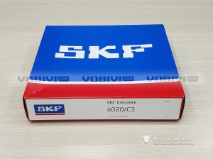 Vòng bi SKF 6020/C3