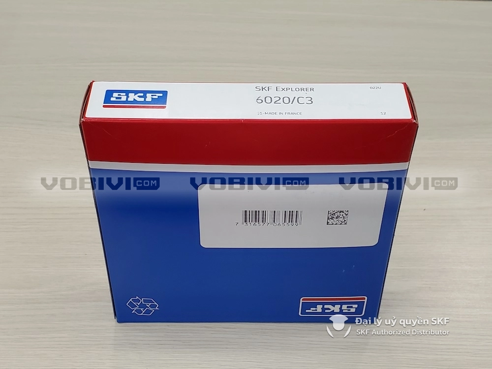 6020/C3