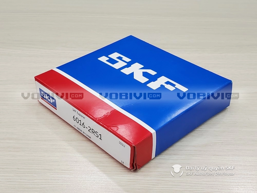 6016-2RS1