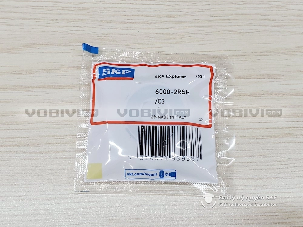 6000-2RSH/C3