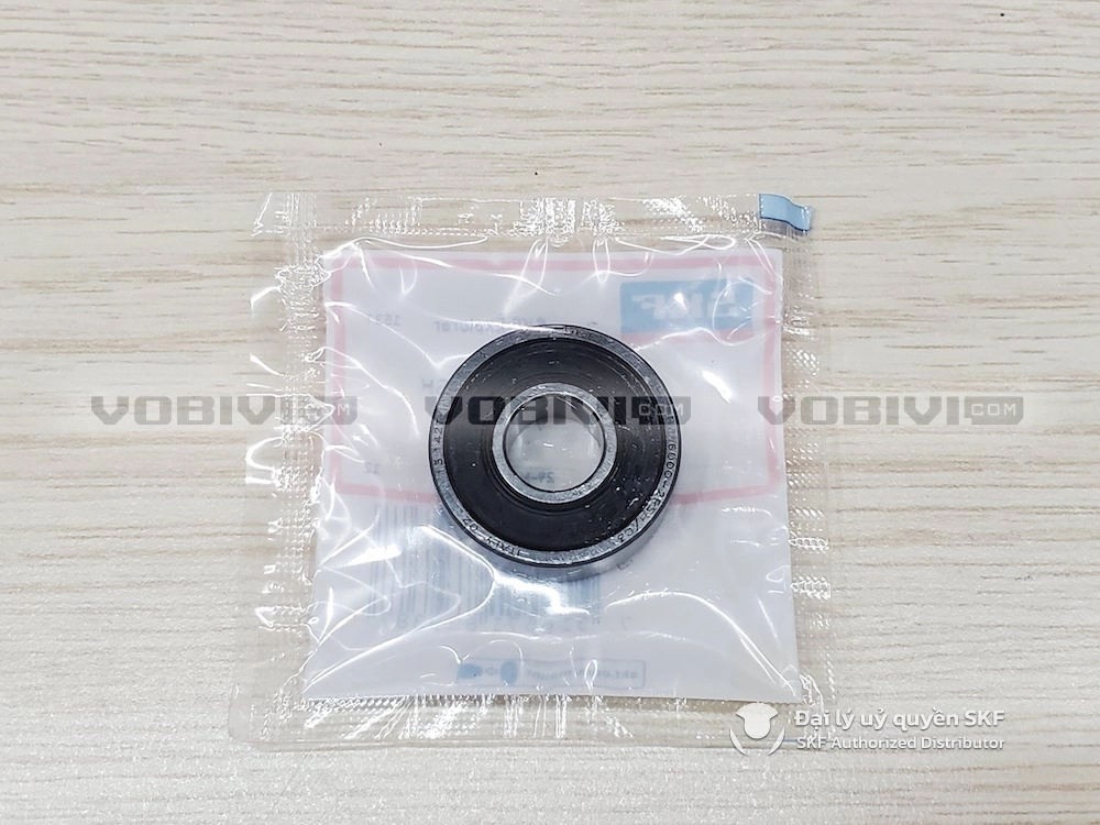 6000-2RSH/C3