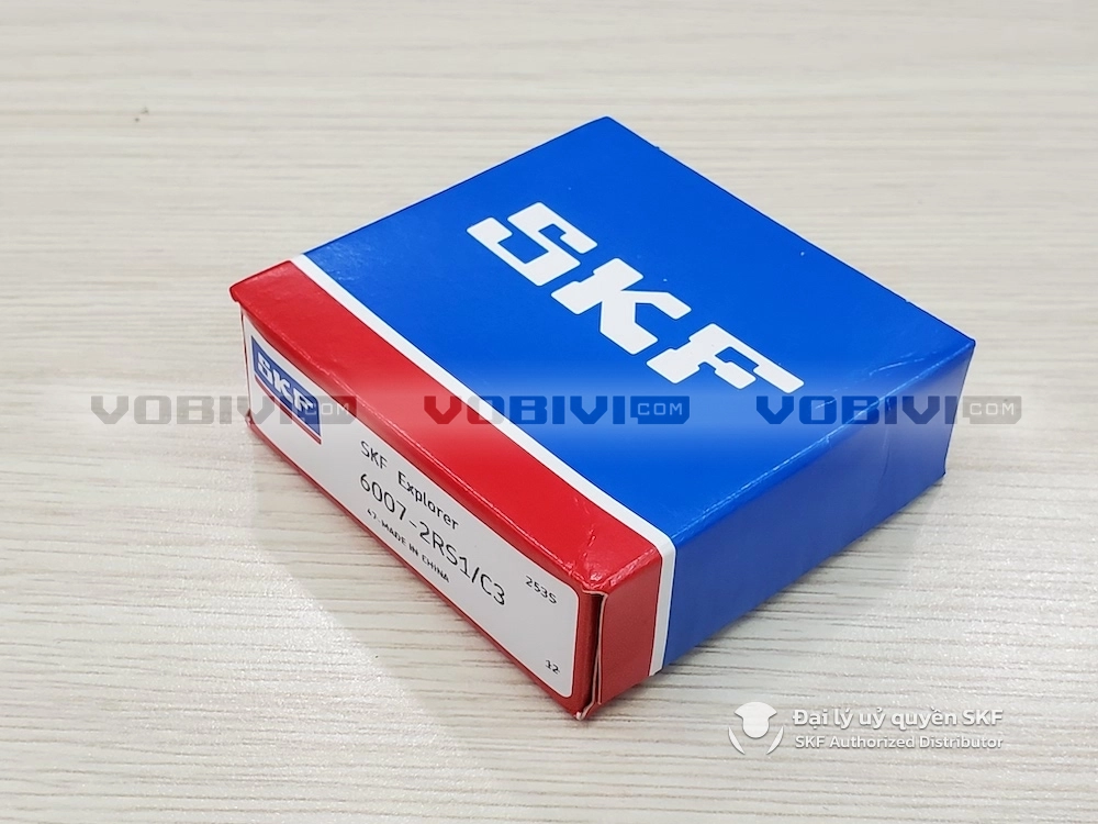 6007-2RS1/C3