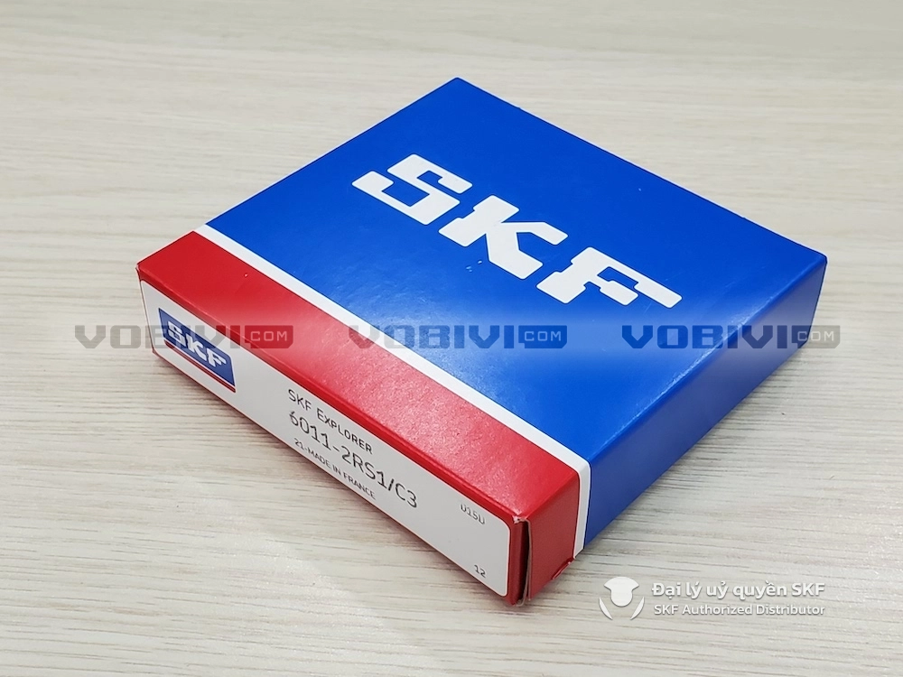 6011-2RS1/C3