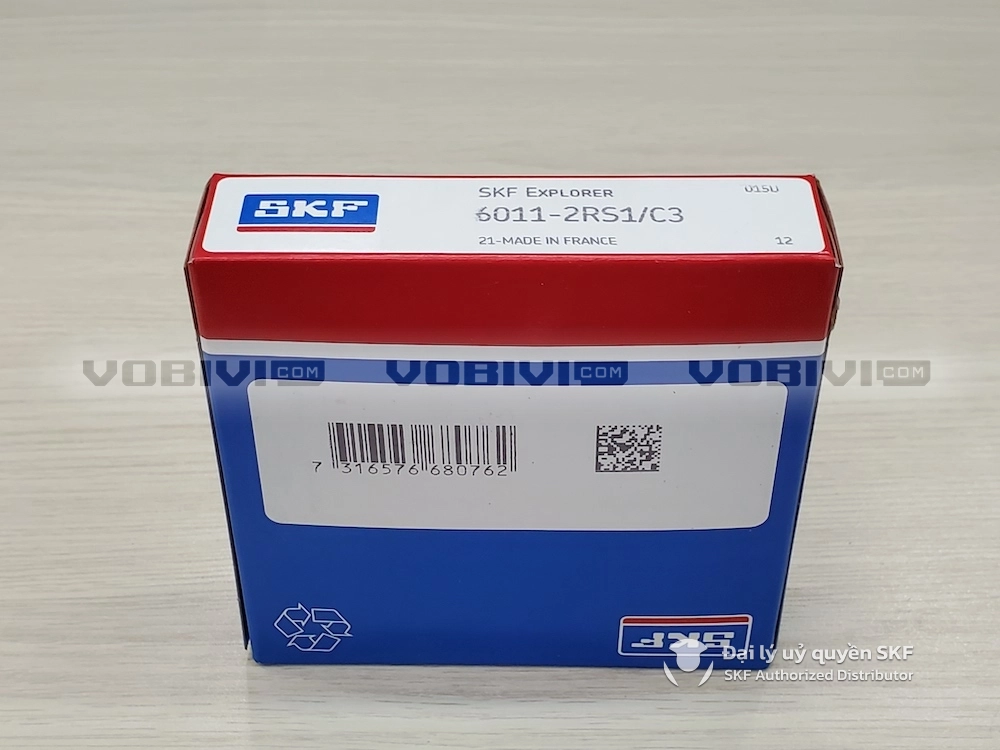 6011-2RS1/C3