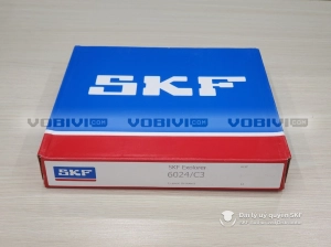 Vòng bi SKF 6024/C3