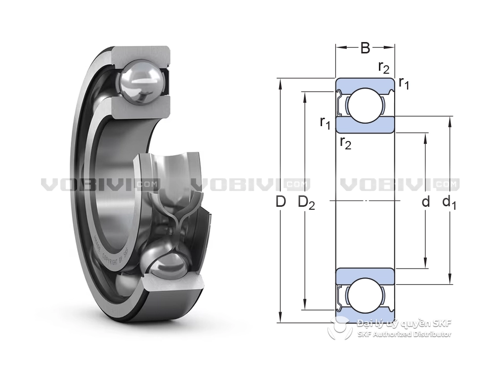 Vòng bi SKF 6206-Z chính hãng