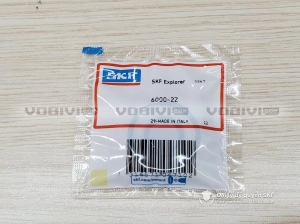 Vòng bi SKF 6000-2Z chính hãng Vòng bi SKF 6000-2Z