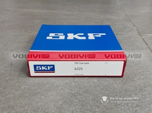 Vòng bi SKF 6221 chính hãng Vòng bi SKF 6221