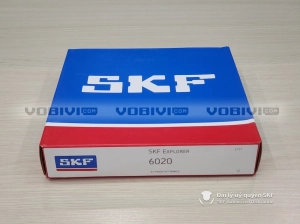 Vòng bi SKF 6020