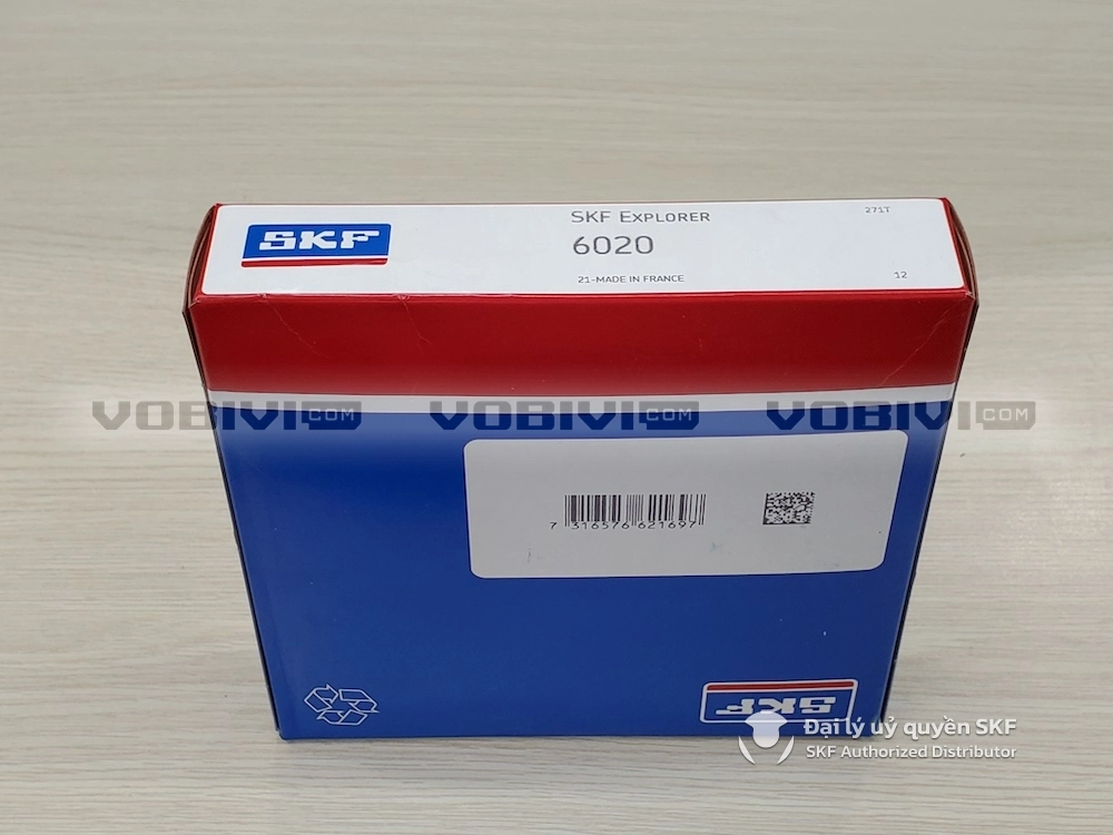 Vòng bi SKF 6020 chính hãng