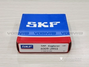 Vòng bi SKF 6009-2RS1